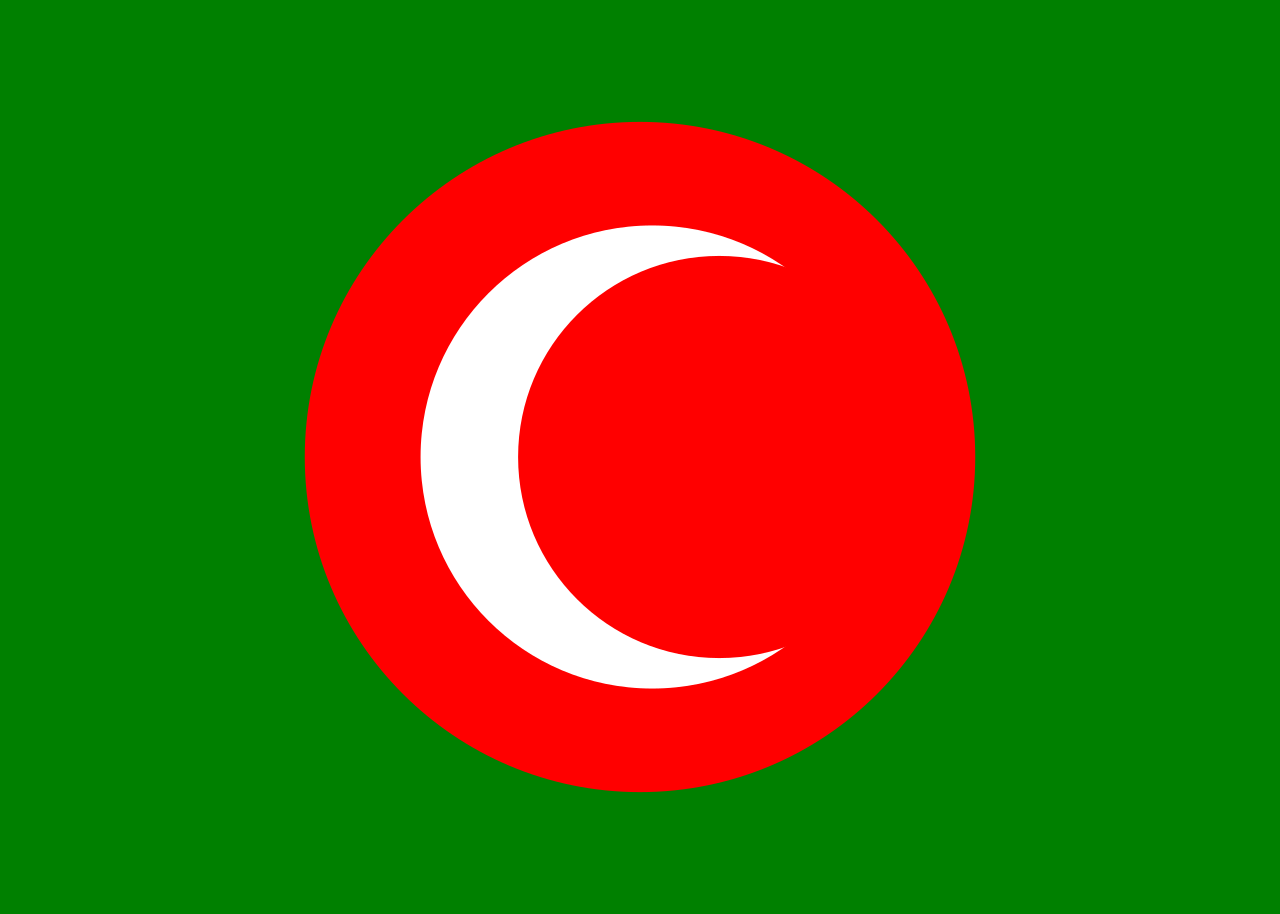 Bandera del Reino de Kurdistán (1919–1925)