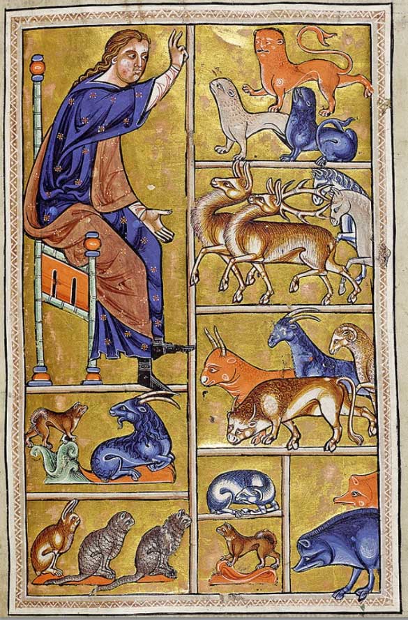 Bestiario de Aberdeen. Siglo XII