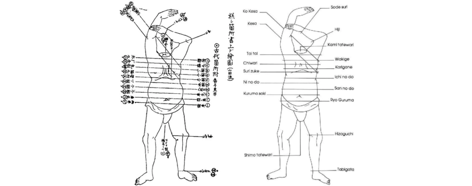 Análisis de las zonas de corte para pruebas de katanas
